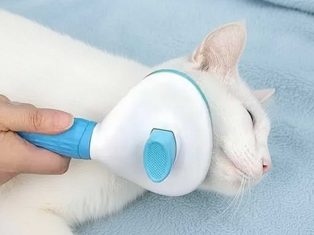 PET Self Cleaning Slicker Brush | High Quality Product Pet Dr are Preferable Product